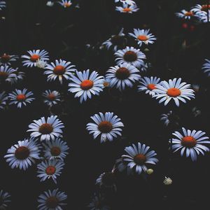 Meet your Posher, Khia